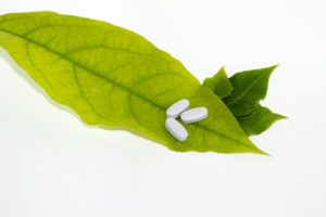 veterinary supplements