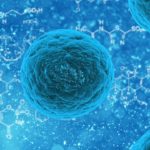 veterinary stem cells