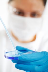 veterinary CRO