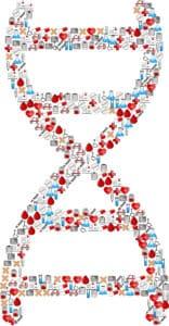 dog dna testing