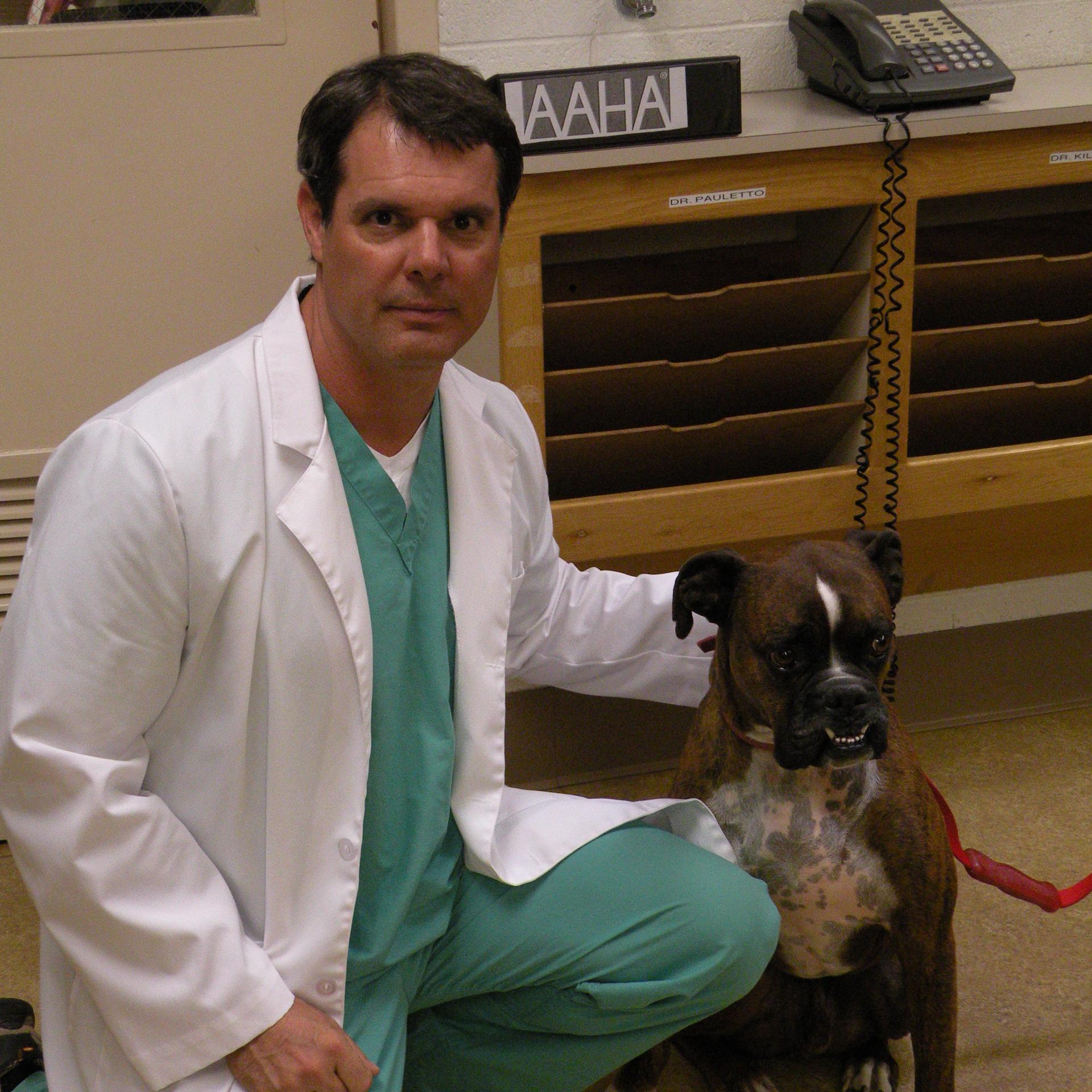 One Health Consultant